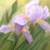 SIMPLY IRISES
Oil on wrapped canvas
12" X 12"

~SOLD~