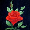 CRIMSON ROSE
Oil on wrapped canvas
20" X 16"
Available
$175.